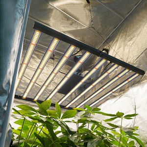 MEIJIU-Luz de <span class=keywords><strong>cultivo</strong></span> para interiores Lm301h 281b, luz <span class=keywords><strong>led</strong></span> de espectro completo para <span class=keywords><strong>cultivo</strong></span> de Samsung Lm301h Evo - Product Image 5