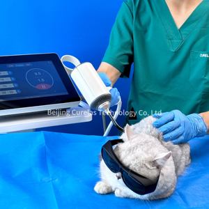 Thérapie laser de classe 4 pour vétérinaire chien chat vétérinaire Animal cheval thérapie laser vétérinaire pour le soulagement de la douleur - Product Image 2