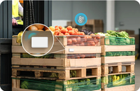 Balise de suivi d'actifs BLE 5.1 économique avec capteur de température et batterie remplaçable de petite taille