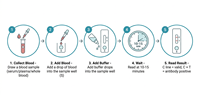 Kit de test rapide d'anticorps FMD NSP DIVA pour distinguer les bovins, porcs et moutons infectés des animaux vaccinés, bandelette de test 3ABC OEM ODM