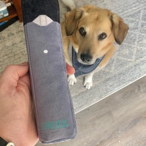 Jouet pour chien en peluche avec son, électrique, pour l'intérieur et l'extérieur, pour chiots qui font leurs dents - Product Image 4