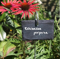 Pflanzenetikett Gartenhersteller Schiefer Schwarz Naturstein-Schild mit Edelstahlstab 10 Stück
