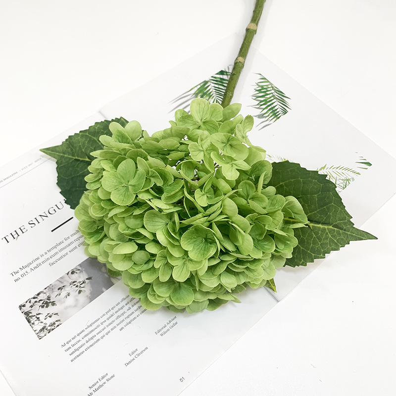 Vert foncé