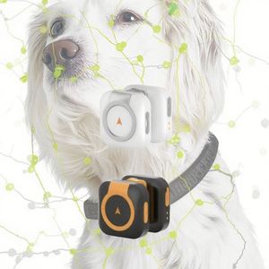 Localisateur GPS professionnel pour animaux de compagnie, chiens, IP67, suivi en temps réel, 4G, anti-perte, étanche, longue durée de vie de la batterie - Product Image 1