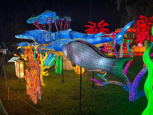 Lanternes géantes LED personnalisées en forme de tortue de mer - Éclairage extérieur imperméable pour festivals et décorations - Product Image 4
