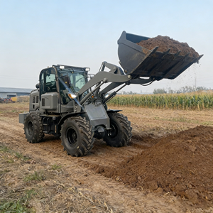 Бесплатная доставка! Малый колесный погрузчик для сельского хозяйства и сада, гидравлический, дизельный, для перемещения земли. - Product Image 1