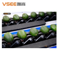 Automatische avocado-verwerkingslijn met was- en fruitoppervlakte-sorteerfuncties