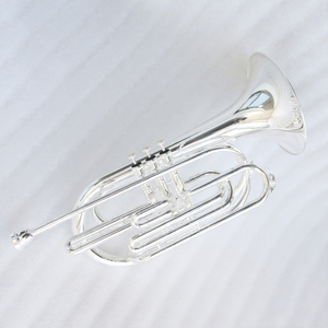 Trombón de Marcha de Latón Plateado <span class=keywords><strong>en</strong></span> Si Bemol con Estuche y Accesorios OEM - ¡Oferta Especial! - Product Image 1