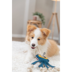 Giocattolo in corda di cuoio Monster da 47 cm, giocattolo interattivo per animali domestici - Product Image 4