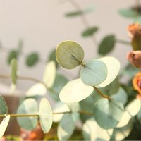 Feuilles d'eucalyptus artificielles en soie plastique réalistes au toucher, 50 cm, tige unique, pour la décoration de la maison, de l'hôtel, du café, arrangement floral