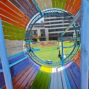 Vente directe d'usine, équipement de parc d'attractions sur mesure, aire de jeux extérieure, installations de parc d'aventure pour enfants - Product Image 6