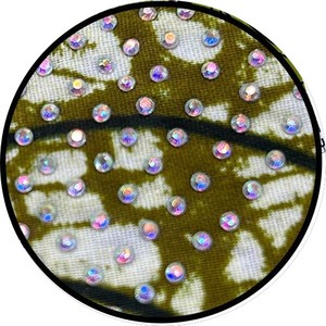 Véritable Tissu <span class=keywords><strong>Pagne</strong></span> Wax Authentique Garanti, Doux, Style Hollandais Original, <span class=keywords><strong>Robe</strong></span> Africaine, 100% Coton, Enveloppe, <span class=keywords><strong>Pagne</strong></span>, Capulana - Product Image 2
