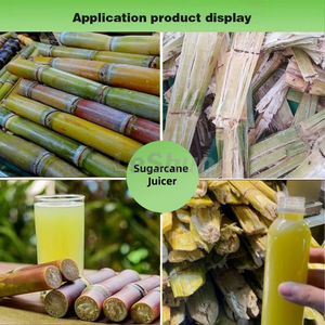 Extracteur <span class=keywords><strong>de</strong></span> jus <span class=keywords><strong>de</strong></span> canne à <span class=keywords><strong>sucre</strong></span> lourd <span class=keywords><strong>de</strong></span> grande capacité à moteur, machine à canne à <span class=keywords><strong>sucre</strong></span> à 6 rouleaux, <span class=keywords><strong>prix</strong></span> au Kenya - Product Image 6