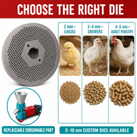 Machine à granulés d'aliments pour volailles et lapins, compacte, portable, facile à utiliser, alimentée électriquement, avec une large trémie et un cadre en acier