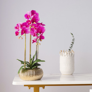 O-X450 Orquídeas Phalaenopsis Artificiales al por Mayor, Tacto Real, Color Blanco y Rosa, en Maceta Dorada para Decoración del Hogar - Product Image 5