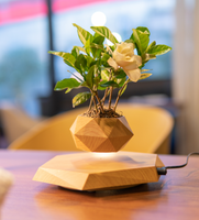 Magnétique Lévitation Bonsaï Plante Flottante en Bois Personnalisé DIY Décoratif Air Bonsai Cup