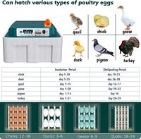 Incubateur automatique d'œufs de 16 capacités avec rotation et humidification pour œufs de poule et de caille en plastique 220V