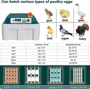 حاضنة بيض أوتوماتيكية بسعة 16 بيضة مع تقليب وترطيب لبيض الدجاج والسمان، بلاستيكية 220 فولت - Product Image 6