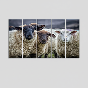 Elegant Sheep <b>Canvas</b> Print: Modern Farmhouse <b>Wall</b> Art Decor,SET OF 5 <b>CANVAS</b> - Product Image 2