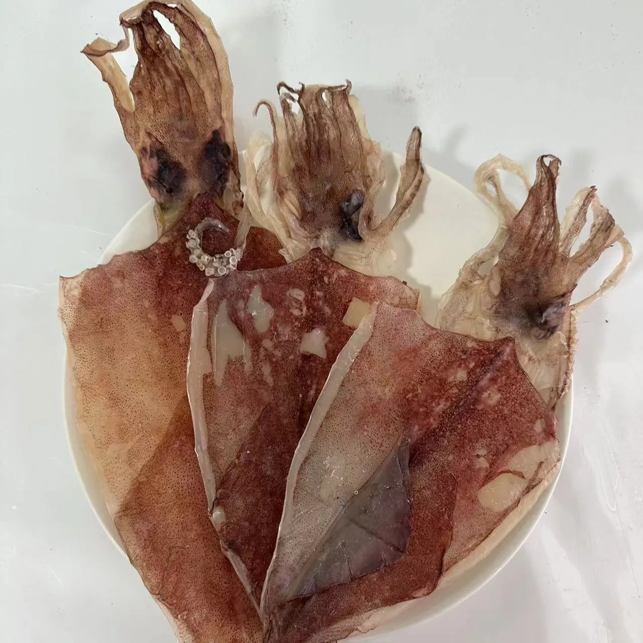 Dried illex squid sale or without salt Dried various Squid