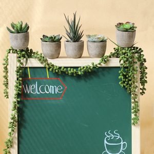 Plantas Suculentas Artificiales Decorativas en Maceta, Cactus Falso, Aloe en Macetas de Pulpa de Papel, Planta Artificial de Plástico Reciclable - Product Image 6
