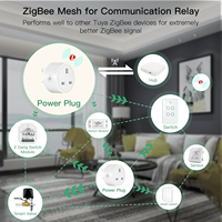 SLS 16A Tuya Wifi Smart Life Alexa moniteur d'alimentation à commande vocale adaptateur de prise Zigbee avec prise britannique Type de prise électrique