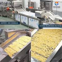 Chaîne de traitement industrielle Fengxiang pour l'épluchage, le battage, le lavage, la blanchiment et le séchage à l'air du maïs frais et du maïs doux
