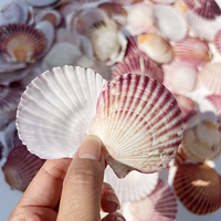 52 pièces de coquillages roses mignons pour la plage, mariage, remplissage de vase, perles décoratives, cadeau de la Saint-Valentin
