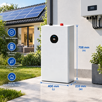 Batterie au lithium Deye 16 kWh 51,2 V 314 Ah, stockage d'énergie domestique basse tension, batteries au lithium Lifepo4 pour panneaux solaires