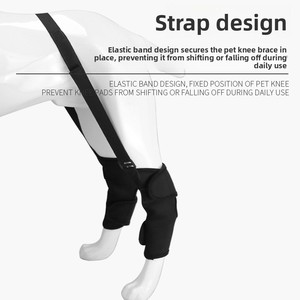 Luxe elegante kniebeschermer voor huisdieren, fractuurimmobilisatiebrace, anti-lik bescherming, loophulp voor poot, bescherming voor gewonde honden - Product Image 4