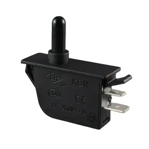 Interruptor de puerta de refrigerador, cerradura de puerta pequeña, 2/4A 250Vce CE