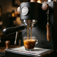 Machine à café professionnelle pour hôtels, meilleure cafetière expresso italienne avec pompe Ulka, chaudières à chauffage instantané et fonction de pré-infusion