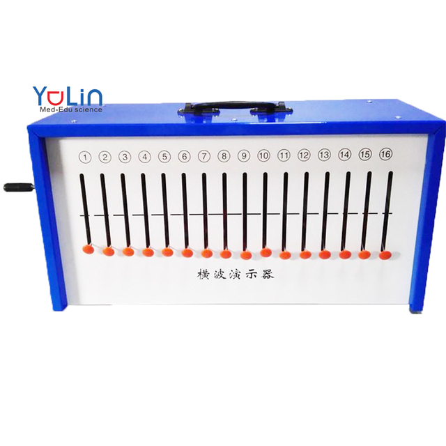 Physics Laboratory Instruments Model Longitudinal Wave or Transverse Wave Demonstrator Physics Experiment Teaching Equipment