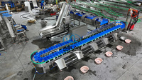 Automatische multifunctionele weeg- en sorteermachine voor groenten, fruit, rundvlees, noten, 304 roestvrij staal, hoge efficiëntie