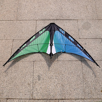 Cerf-volant Delta à double ligne pour enfants, motif bleu-vert, personnalisé en usine, facile à piloter, idéal pour le sport de plage et les cascades