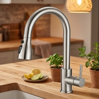 Robinet de cuisine de luxe monocommande extractible en acier inoxydable nickel brossé, avec jet cascade et pluie, valve en céramique, pour évier, style moderne
