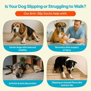 एंटी-लाइसेंकिंग सुरक्षा स्ट्रिप्स के लिए नए पालतू मोजे गैर-पर्ची पॉलिएस्टर आउटडोर कुत्ते मोजे - Product Image 3