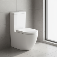 WC moderne en céramique à double chasse, à fermeture douce, monobloc, à chasse directe sans bride pour salle de bain