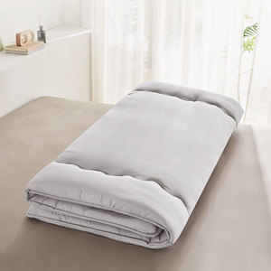 Best Seller Modern Luxury Anti-Bacteria Hypoallergenic Non-Toxic Mattress King Size Mattress Pads