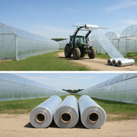 Lámina de Plástico LDPE para Invernadero, 200 Micras, Resistente a los Rayos UV, Moldeada por Extrusión y Soplado, para Cultivo de Tomates y Vegetales, para Invierno