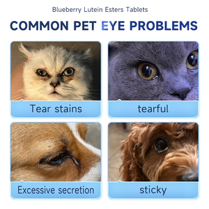 Thuốc nhỏ mắt cho mèo và chó 60ml loại bỏ vết nước mắt giữ ẩm cho mắt và làm sạch dịch tiết - Product Image 6