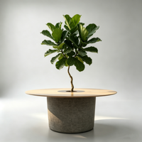 Table basse ronde moderne avec jardinière centrale intégrée, prise de charge dissimulée, mobilier d'hôtel durable et écologique pour cafés et bars