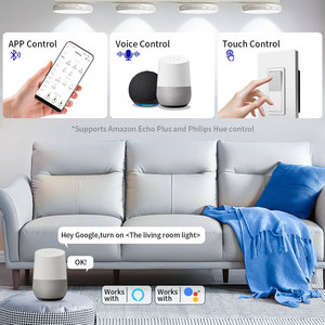 Fahint <span class=keywords><strong>Dimmer</strong></span> <span class=keywords><strong>Smart</strong></span> Wifi Ble Zigbee ETL SDML3010, Interruttore <span class=keywords><strong>Dimmer</strong></span> Triac MCU a Taglio di Fase Monofase 120V con Filo Fase per USA - Product Image 2