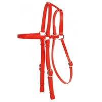 Bride de course équitation en PVC coloré et Durable, équipement de luxe, bride de cheval de Style occidental avec embout métallique