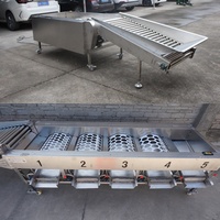 Machine de tri professionnelle pour fruits et agrumes, machine de classement des citrons