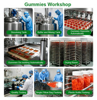 Lenm OEM ODM Aangepaste Elektrolyten Poedermix 24 Sticks 6 Smaken Kruidensupplementen Plantaardige Extracten Vitaminen Elektrolyten Energie