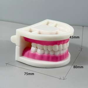 Set Model Gigi Oral - Alat Simulasi Gigi & Gusi Multi-Gaya untuk Pelatihan Kedokteran Gigi & Pendidikan Pasien - Product Image 3