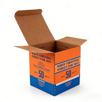 Boîte d'expédition en carton ondulé biodégradable pour plantes et fleurs avec impression de logo personnalisée, laminage mat pour une expédition écologique