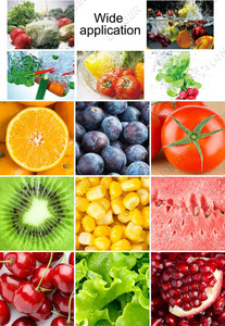 Fabricants de machines de transformation commerciale, équipements de lavage des fruits <span class=keywords><strong>et</strong></span> <span class=keywords><strong>légumes</strong></span> <span class=keywords><strong>en</strong></span> Inde - Product Image 2