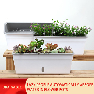 Grand pot auto-arrosant étroit en plastique avec fenêtre de visualisation du niveau d'eau <span class=keywords><strong>pour</strong></span> la culture de légumes et de plantes sur <span class=keywords><strong>balcon</strong></span> domestique - Product Image 5